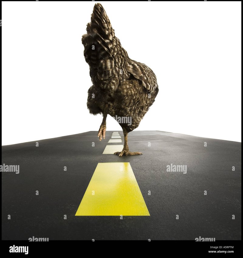 Chicken road spiel casino, chicken road deutschland
